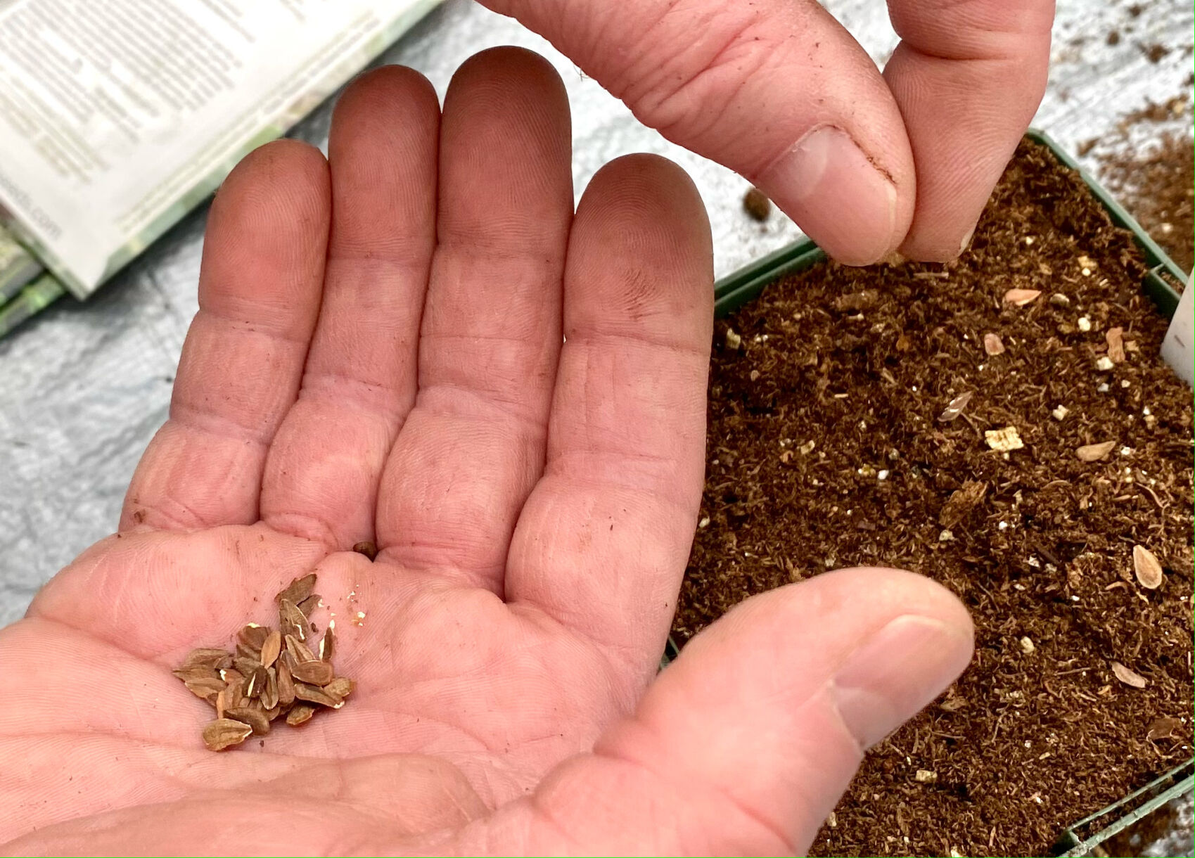 seed library.jpg